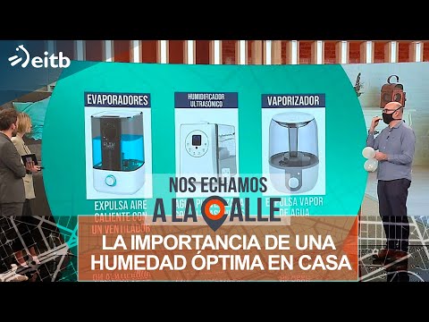La Humedad Relativa Ideal en el Hogar: Guía para un Ambiente Saludable